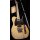 Luxxtone Guitars T-REXX Butterscotch heavy aged with Floyd Rose