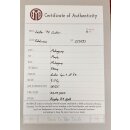 Maybach Lester Edelweiss 72 Custom Bigsby B7 Aged