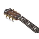 IBANEZ FRH20SMN-TCL Elektro-Akustik-Gitarre, tobacco burst low gloss