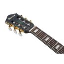 Ibanez FRH20FMN-DGL Elektro-Akustik-Gitarre, deep emerald green low