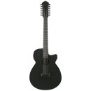 Ibanez AEG1221-BOT 12 String Westerngitarre