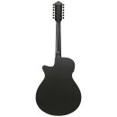 Ibanez AEG1221-BOT 12 String Westerngitarre