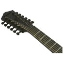 Ibanez AEG1221-BOT 12 String Westerngitarre