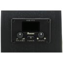 Ibanez AEG1221-BOT 12 String Westerngitarre