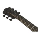 Ibanez AEG621-BOT AEG Elektro-Akustik-Gitarre, Black Out