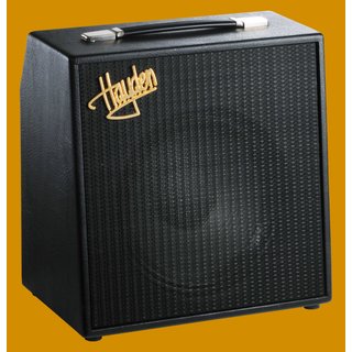 Hayden Petite 2 Guitar Amp