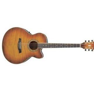 Richwood RL30E-VV Westerngitarre