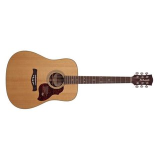 Richwood D60VA Westerngitarre MASTER Series