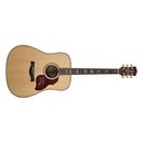 Richwood D70VA  Akustik Westerngitarre MASTER Series