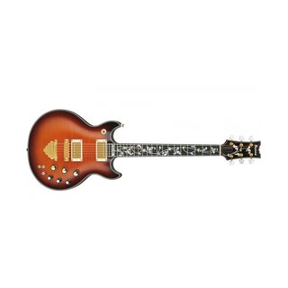 Ibanez AR5000RE Custom Shop ltd.