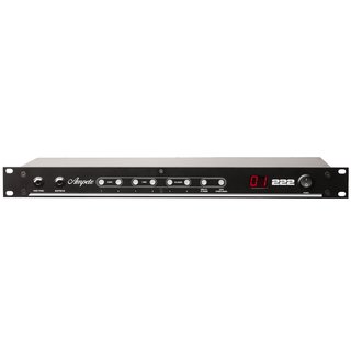 Ampete 222 Midi Amp/Cabinet Switching System