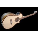 Riversong Guitars TRAD 2 P GA E/A Grand Auditorium