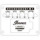Ibanez AEG1812II-DVS 12-String Versandretoure