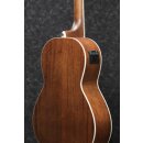 Ibanez PNB14E-OPN Acoustic E-Bass B-Stock