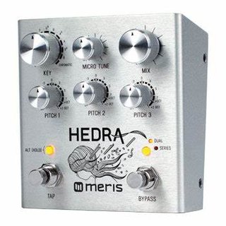 Meris Hedra Super modulated Delay Pedal