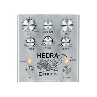 Meris Hedra Super modulated Delay Pedal