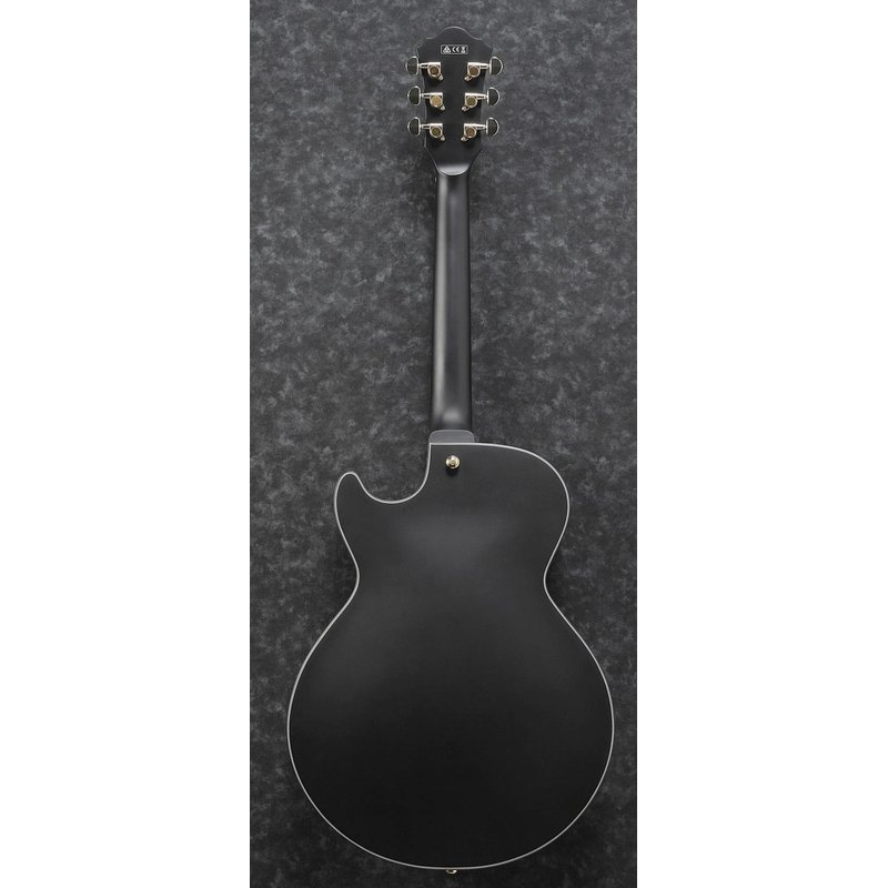 Ibanez AG85-BKF E-Gitarre, 598,00 €