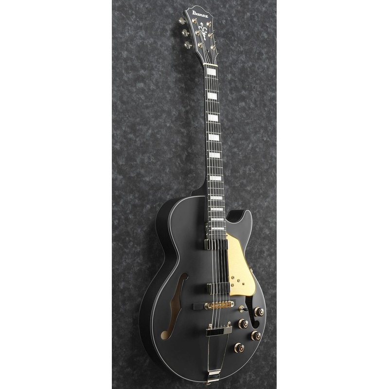 Ibanez AG85-BKF E-Gitarre, 598,00 €