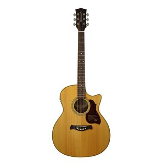 Richwood G65CE-VA  Elektro-Akustik Westerngitarre MASTER Series