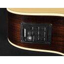 Richwood G-65-CEVA  Elektro-Akustik Westerngitarre MASTER Series