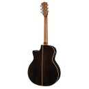 Richwood G-65-CEVA  Elektro-Akustik Westerngitarre MASTER Series