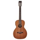 Richwood P50-E Elektro-Akustik Westerngitarre MASTER Series