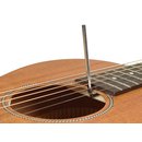 Richwood P50-E Elektro-Akustik Westerngitarre MASTER Series