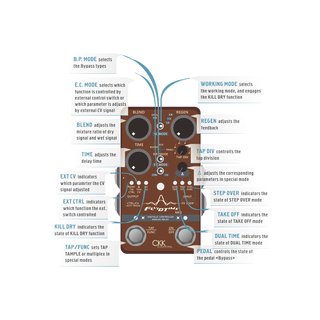 CKK Electronics Fluid Time MKII - Digitally controlled BBD Delay