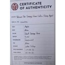 Maybach Guitars  Texonian T66 Savage Rose Light Aged Custom Shop - Retoure