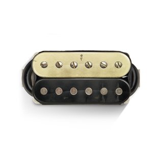 Bare Knuckle Pickups - Polymath Humbucker Set - aged Zebra