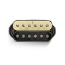 Bare Knuckle Pickups - Polymath Humbucker Set - aged Zebra
