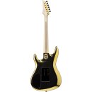 Ibanez JS2GD Joe Satriani Signature E-Gitarre